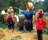 Gesellschaft f&uuml;r Gartenbau und Therapie - Angebot und Ziele