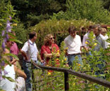 Gesellschaft f&uuml;r Gartenbau und Therapie - Wer wir sind