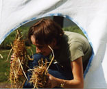 Gesellschaft f&uuml;r Gartenbau und Therapie - Pflanzenverwendung