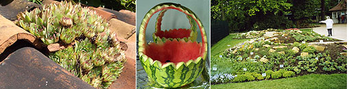 Gesellschaft f&uuml;r Gartenbau und Therapie - Pflanzenverwendung